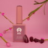 Gel polish R004